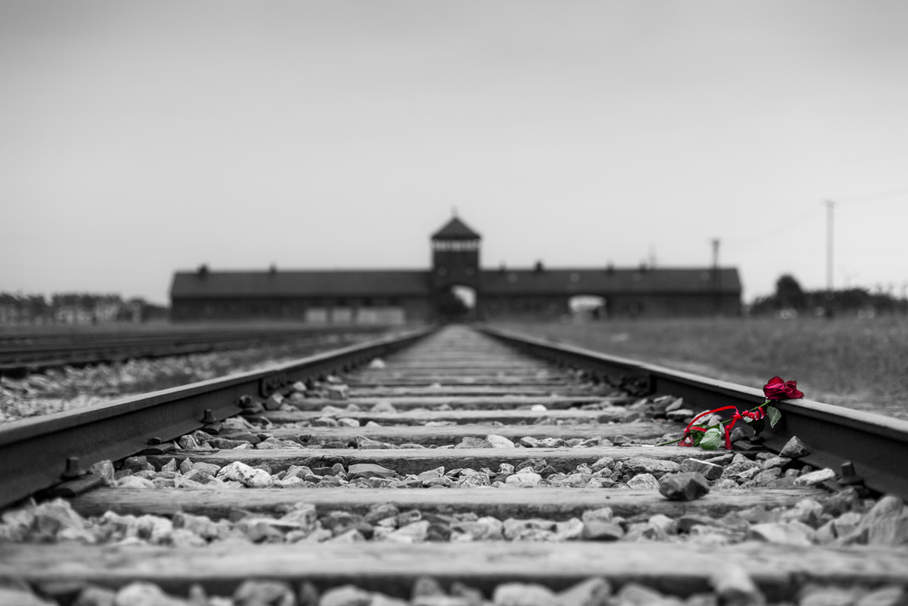 The shocking death toll of World War 2